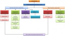 Схема структуры  и органов управления образовательной организацией
